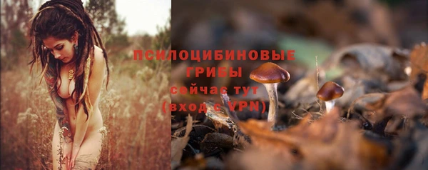 мяу мяу мука Бородино