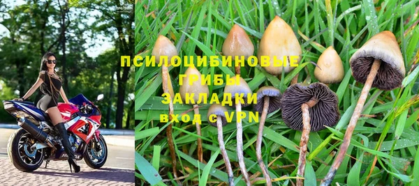 мяу мяу мука Бородино